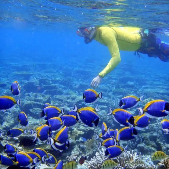 Bon Abri Maldives Hotel Manadhoo Bagian luar foto