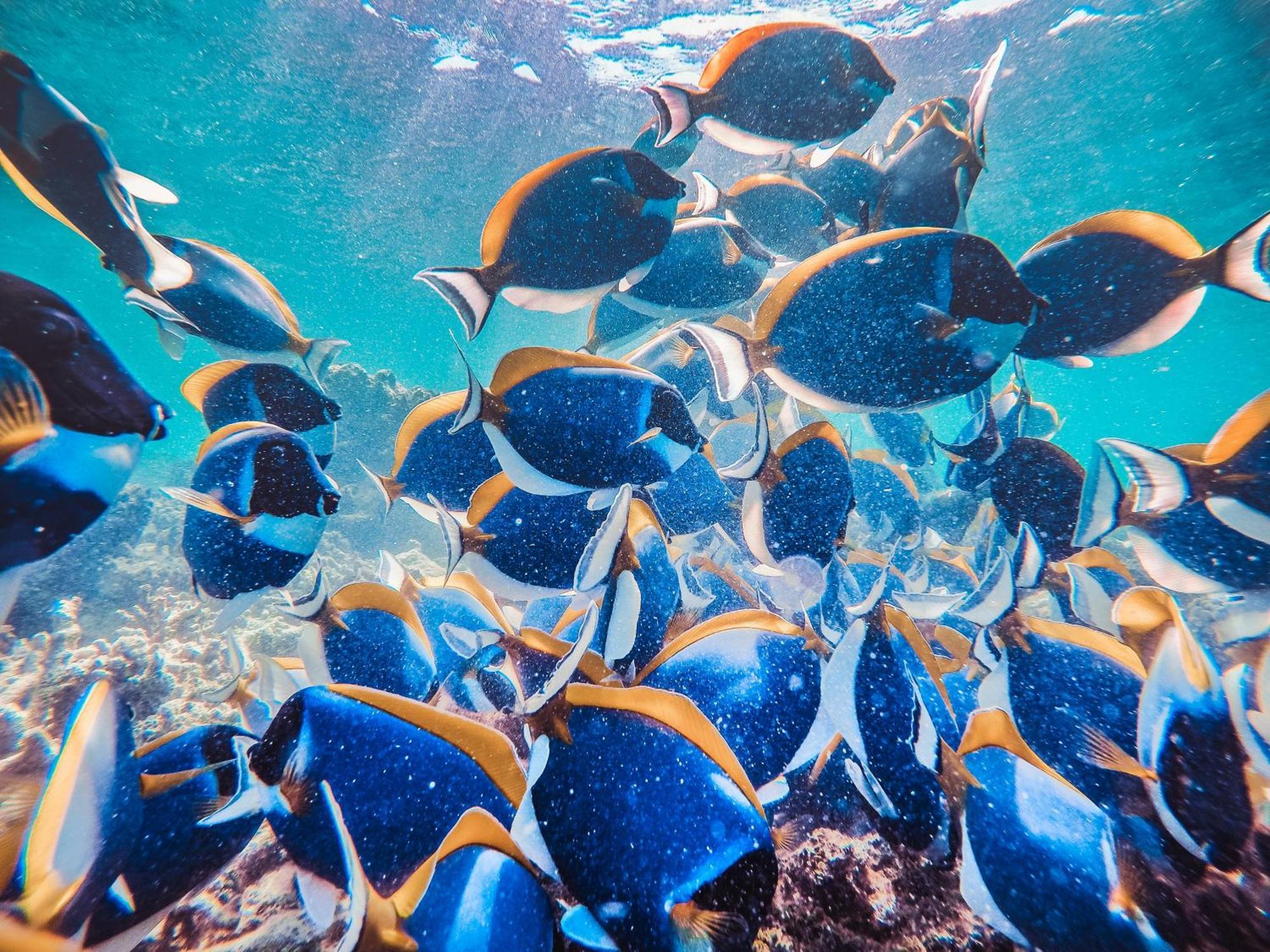 Bon Abri Maldives Hotel Manadhoo Bagian luar foto