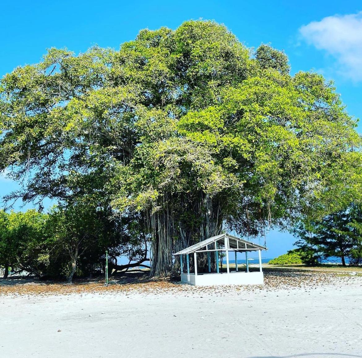 Bon Abri Maldives Hotel Manadhoo Bagian luar foto