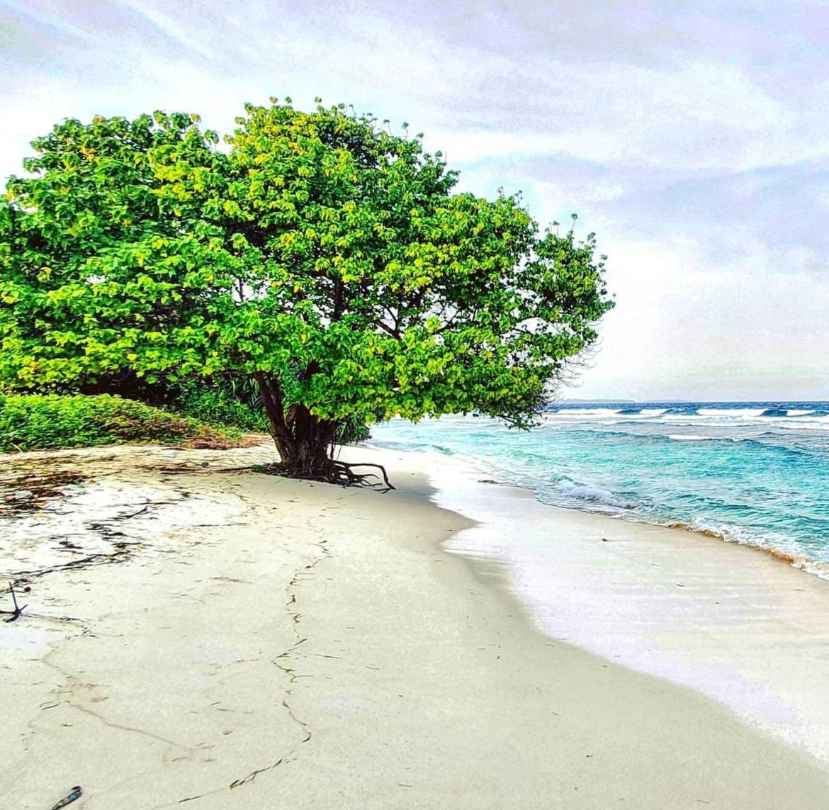 Bon Abri Maldives Hotel Manadhoo Bagian luar foto